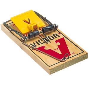 Mouse trap PNG-28459